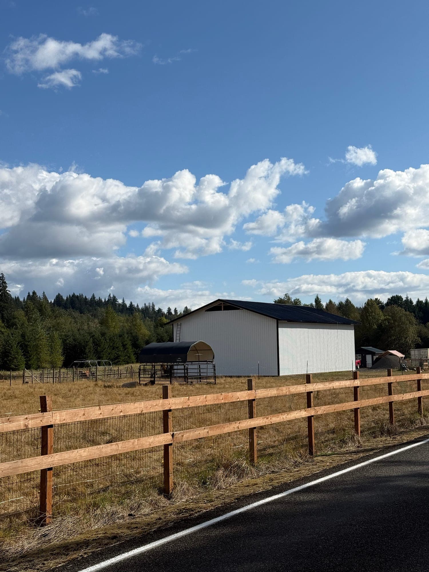 The new dairy building seen from the road across the pasture, with trees behind it
